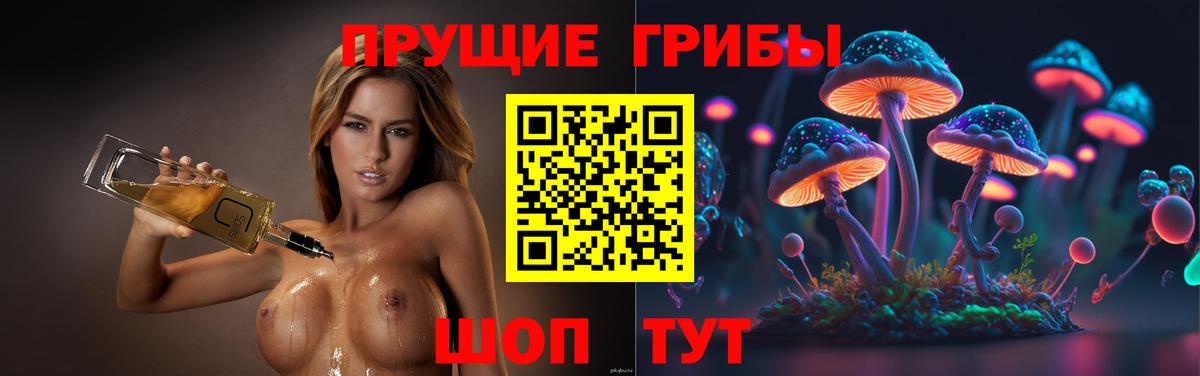 Галлюциногенные грибы Psilocybine cubensis  Вход с VPN  Галлюциногенные грибы Magic Shrooms  Зеленодольск 